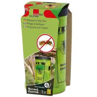 Darázscsapda | Swissinno