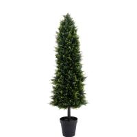 Smaragd tuja | 150cm