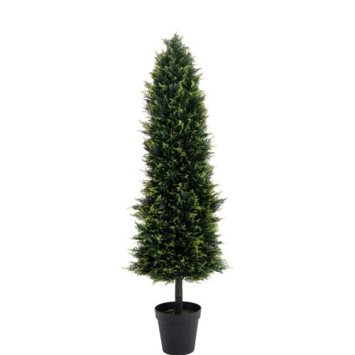 Smaragd tuja | 150cm