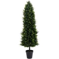 Smaragd tuja | 180cm