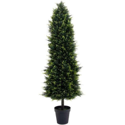 Smaragd tuja | 180cm