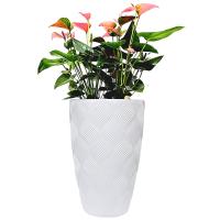 Kaspó virágtartó | Fehér | 51L