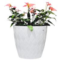 Kaspó virágtartó | Fehér | 85L