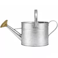 Öntözőkanna fém | 9L