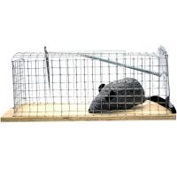 Humánus patkányfogó | Swissinno