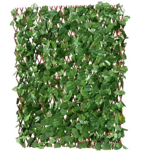 Apácarács | Borostyánleveles | 2m²