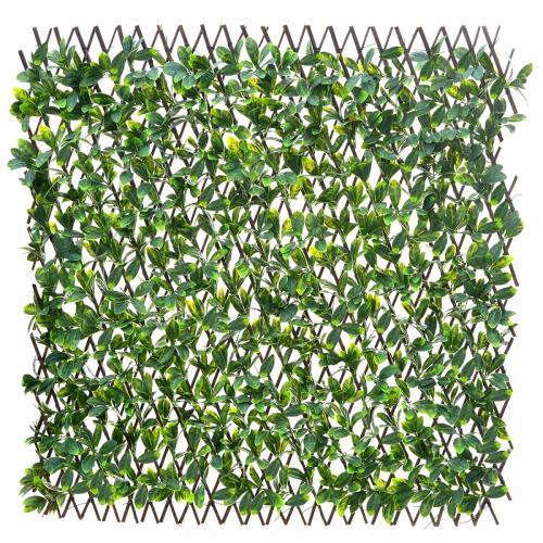 Apácarács | Babérleveles | 2m²