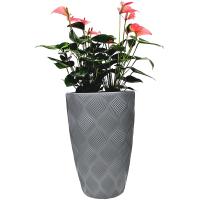 Kaspó virágtartó | Szürke | 51L